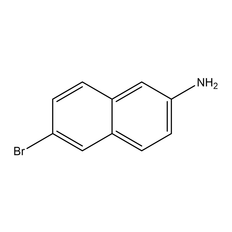 6-Bromonaphthalene-2-amine