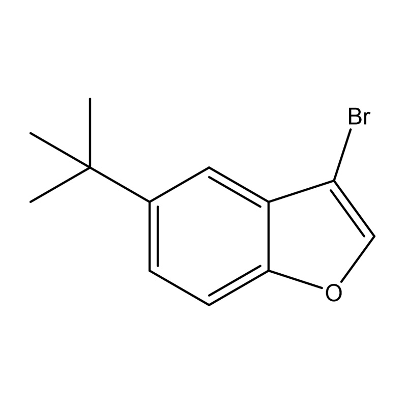 3-Bromo-5-tert-butylbenzofuran